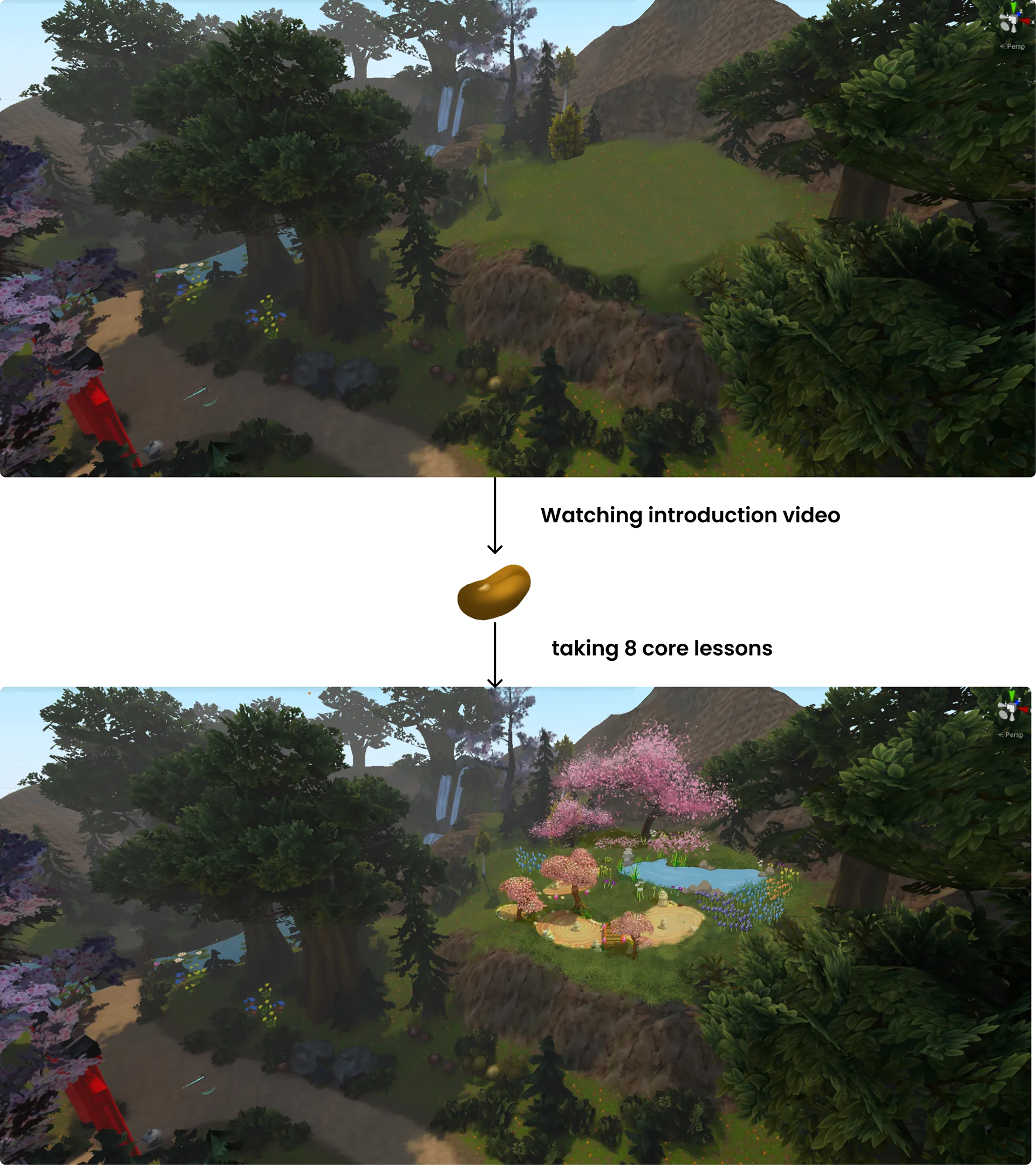 A garden growing as courses are completed