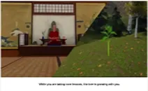 Big tree and garden, frame 4 of 6